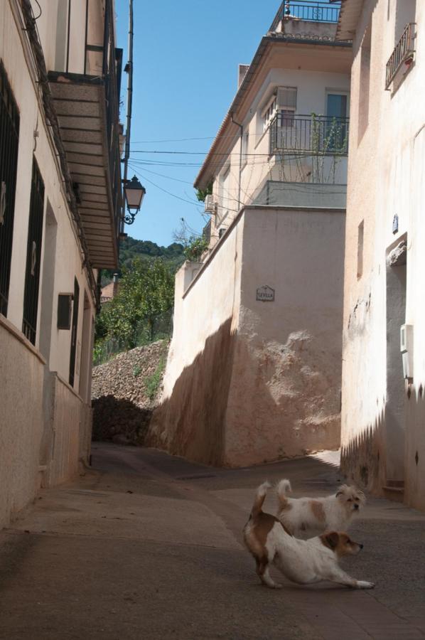 Casa Beatles Del Valle Пинос-дель-Валье Экстерьер фото